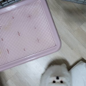베스트 후기 이미지