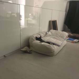 베스트 후기 이미지