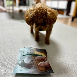 베스트 후기 이미지
