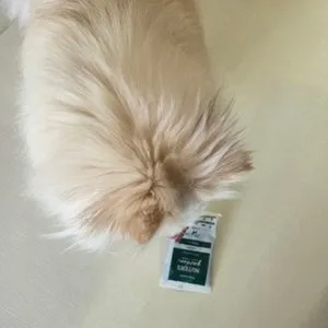 베스트 후기 이미지