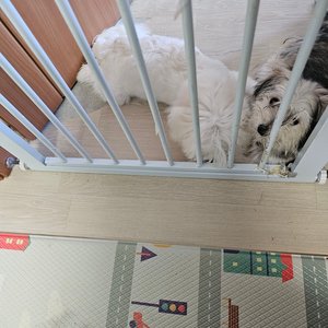 베스트 후기 이미지