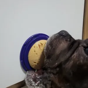 베스트 후기 이미지