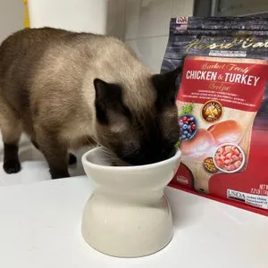 베스트 후기 이미지