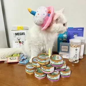 베스트 후기 이미지