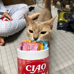 베스트 후기 이미지