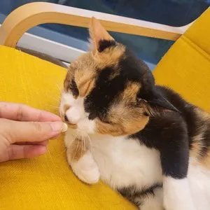 베스트 후기 이미지