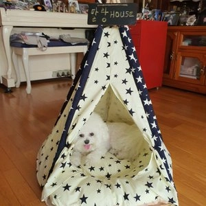 [무료배송] 쏘울펫 인디언텐트 푸른하늘별 S-L 베스트 후기 이미지