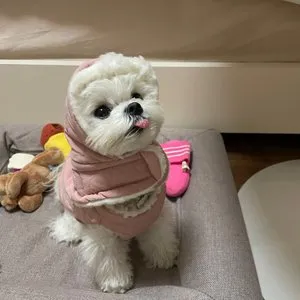 베스트 후기 이미지