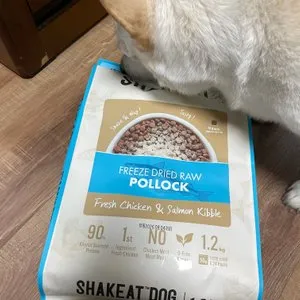 베스트 후기 이미지