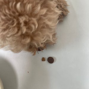 베스트 후기 이미지
