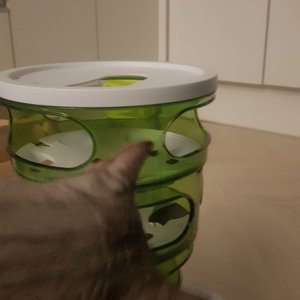 베스트 후기 이미지