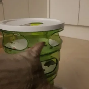 베스트 후기 이미지