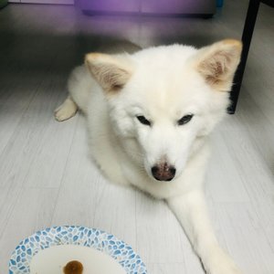 베스트 후기 이미지