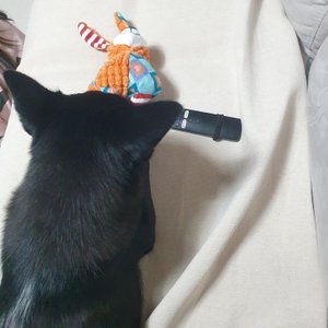 베스트 후기 이미지