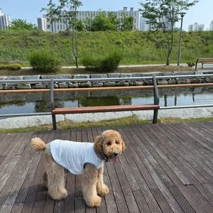 베스트 후기 이미지