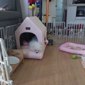 베스트 후기 이미지