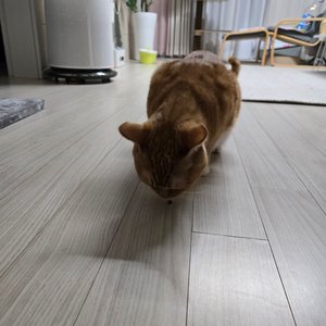 베스트 후기 이미지