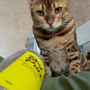 베스트 후기 이미지