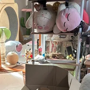 베스트 후기 이미지