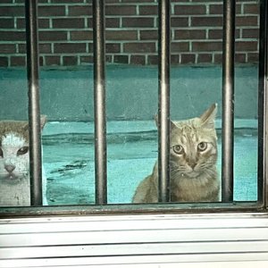 베스트 후기 이미지