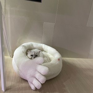 베스트 후기 이미지