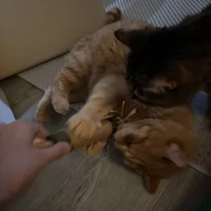 베스트 후기 이미지