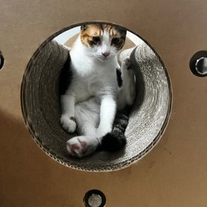 베스트 후기 이미지
