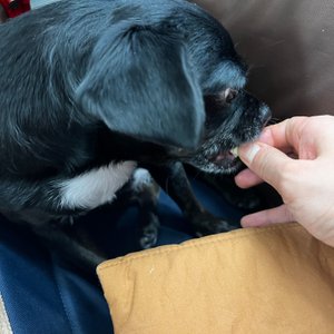 베스트 후기 이미지