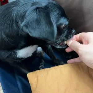 베스트 후기 이미지