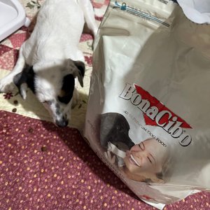 베스트 후기 이미지