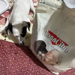 베스트 후기 이미지