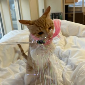 베스트 후기 이미지