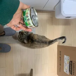 베스트 후기 이미지