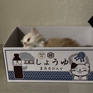 베스트 후기 이미지