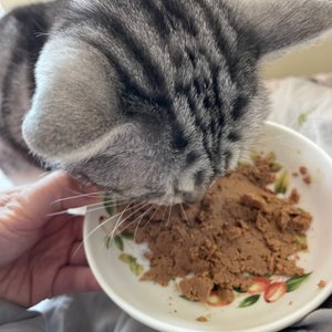 베스트 후기 이미지