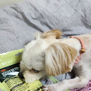 베스트 후기 이미지