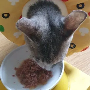 베스트 후기 이미지