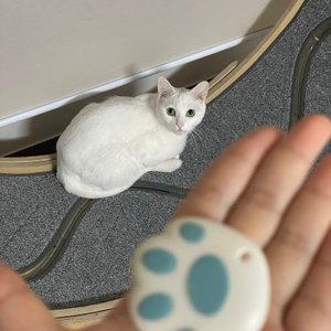 베스트 후기 이미지