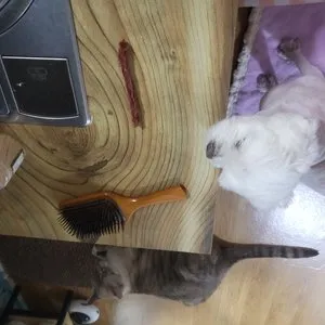 베스트 후기 이미지