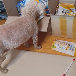 베스트 후기 이미지