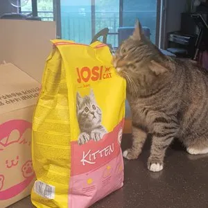 베스트 후기 이미지