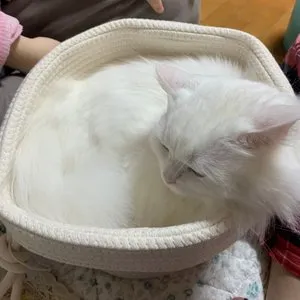 베스트 후기 이미지