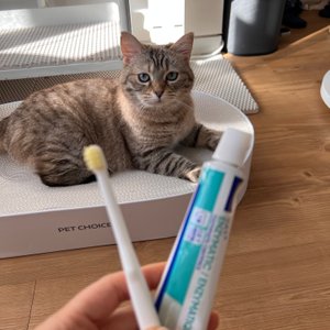베스트 후기 이미지