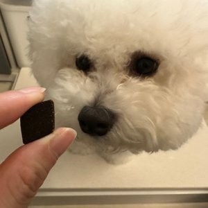 베스트 후기 이미지