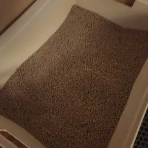 베스트 후기 이미지