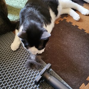 베스트 후기 이미지