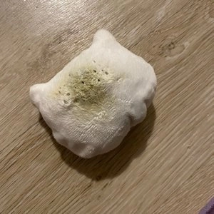 펫프굿즈 몽실이 캣닢쿠션 베스트 후기 이미지