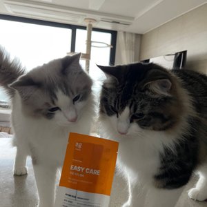 베스트 후기 이미지
