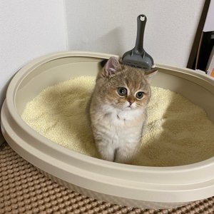 베스트 후기 이미지