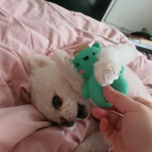 베스트 후기 이미지